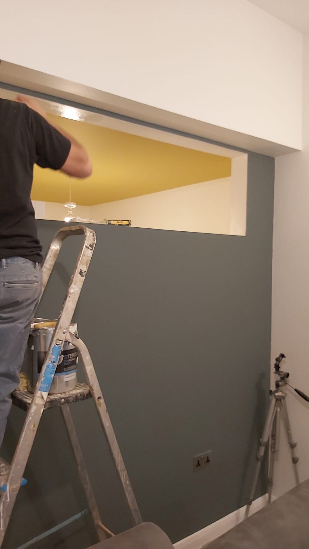 Professional wall painting